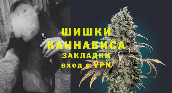 mdpv Инта