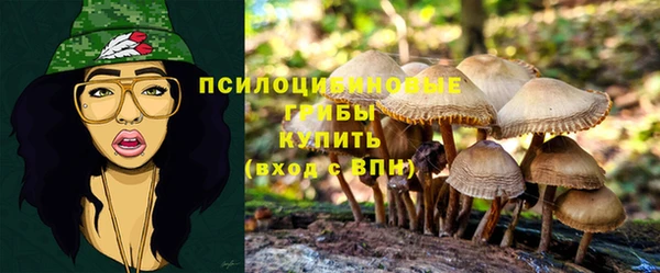 2c-b Иннополис