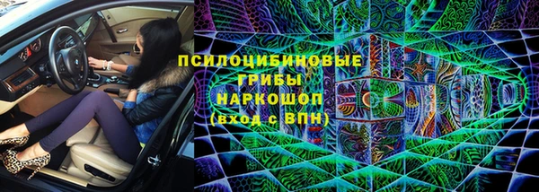 mdpv Инта